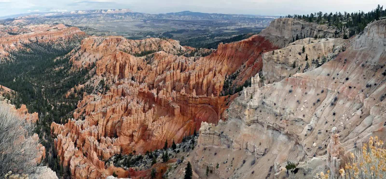 Hoodoo rock spires in the Bryce Canyon amphitheatre, Utah