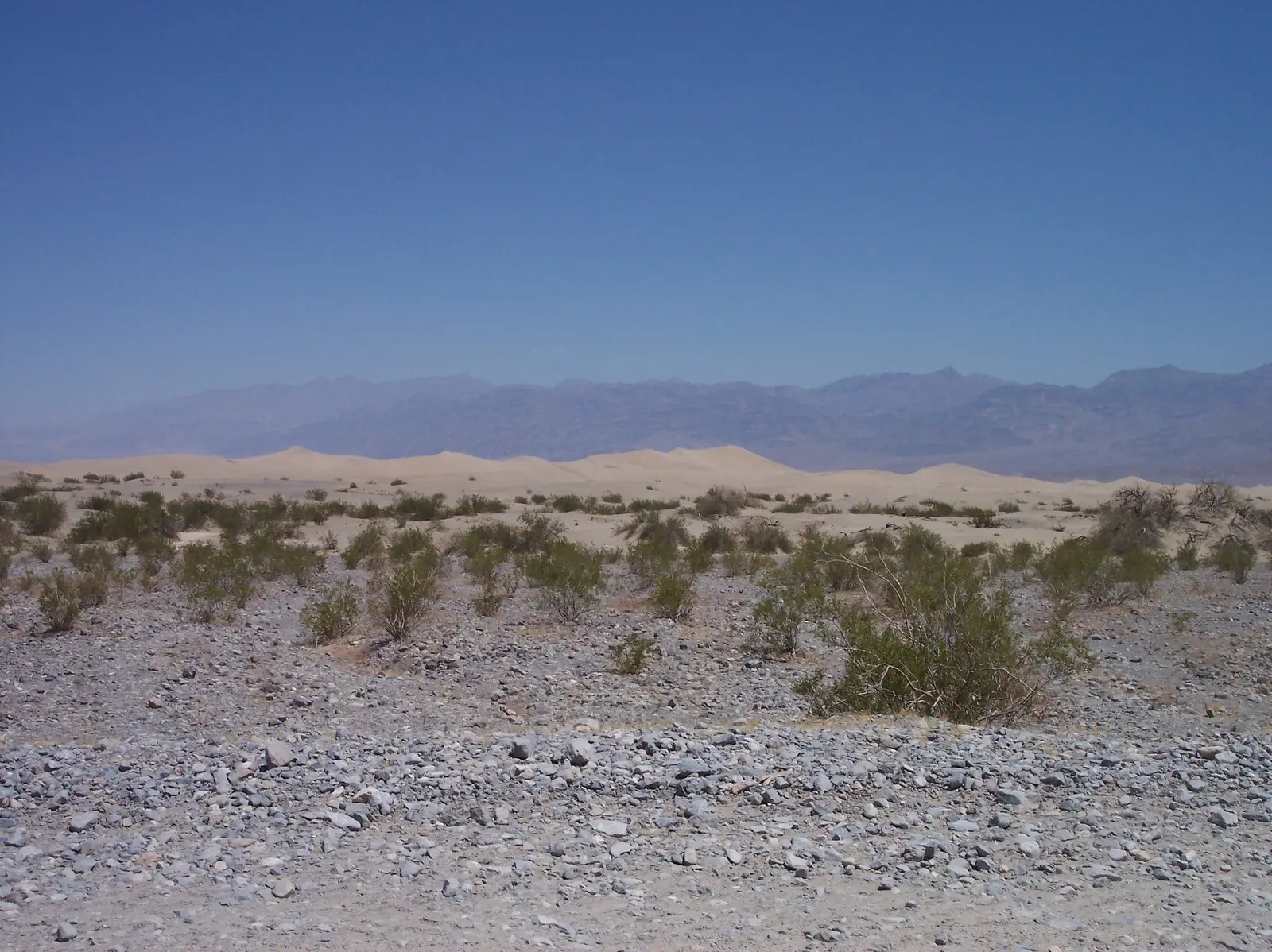 Sand dunes at dusk in Death Valley