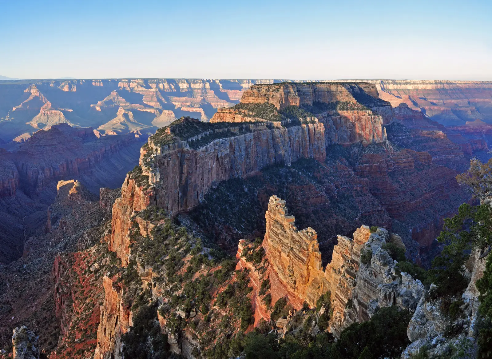 Grand Canyon North Rim seen from Cape Royal