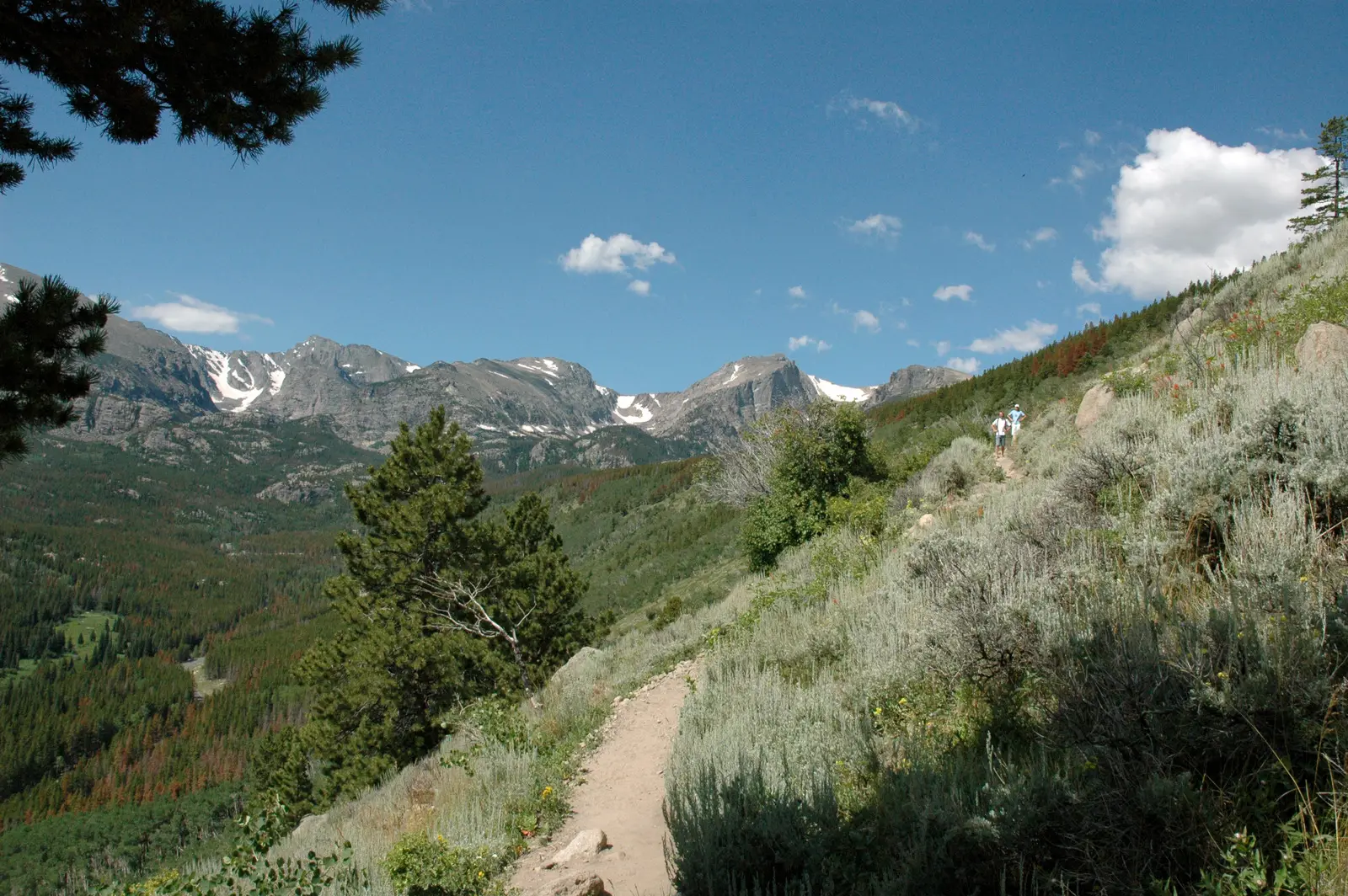 Trail and peaks in Rocky Mountain National Park, Colorado